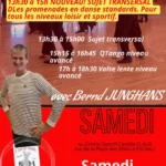 Stage de danse - standard
